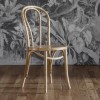 Gallery Pair of Natural Coloured Foy Dining Chairs