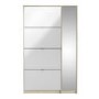 Slim White Shoe Cabinet with 5 Doors & Mirror