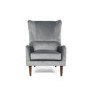 Grey Velvet Accent Chair - Aimie