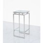 Small Glass & Stainless Steel Plant Stand