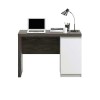 Hudson Chunky Desk in Charcoal Ash &amp; Pearl Oak