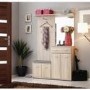 Oak Hall Storage Unit with Coat Hooks - Neo