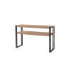 Industrial Style Console Table with Two Shelves