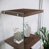 Small Walnut &amp; Glass Bookcase with 4 Shelves