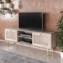 Patara TV Stand with Rattan Weaved Doors