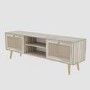Patara TV Stand with Rattan Weaved Doors
