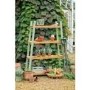 Verdi Green Plant Shelf