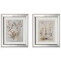 Set of 2 Botanical Framed Wall Art - Caspian House