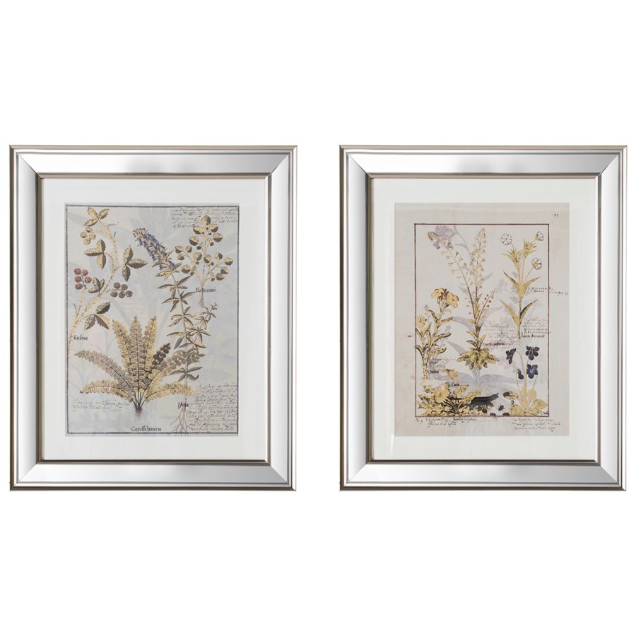 Set of 2 Botanical Framed Wall Art - Caspian House