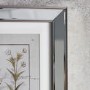 Set of 2 Botanical Framed Wall Art - Caspian House