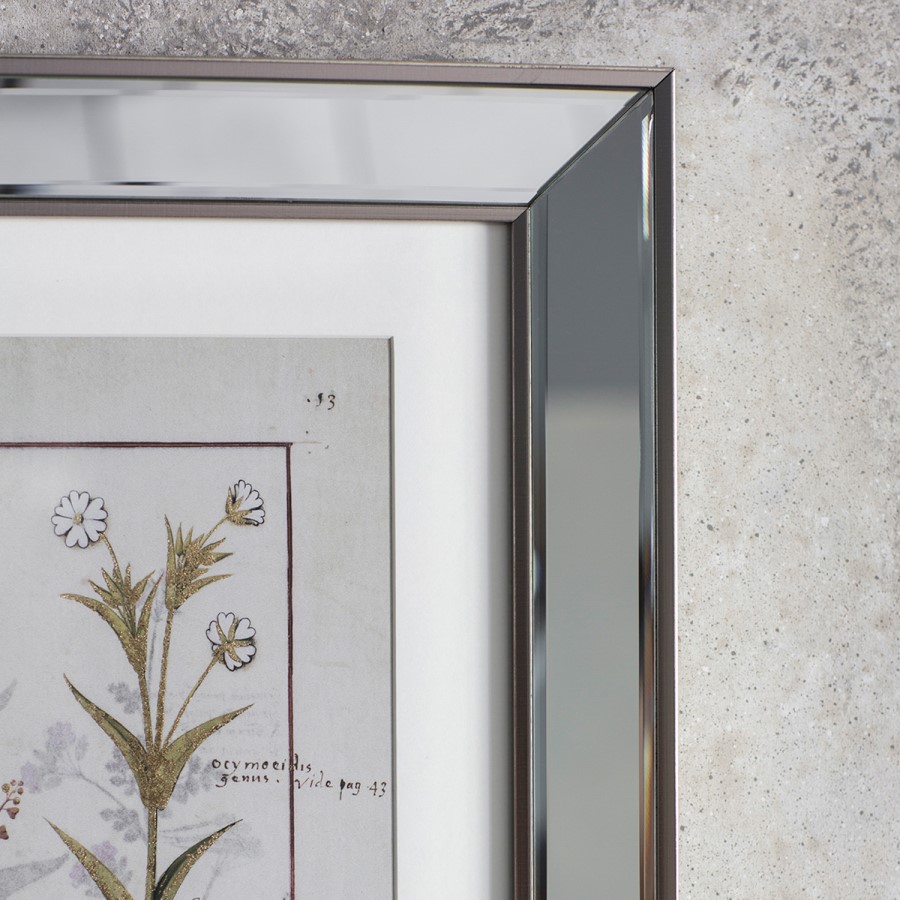 Set of 2 Botanical Framed Wall Art - Caspian House