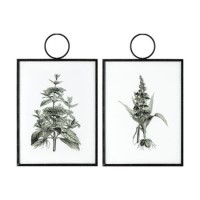 Set of 2 Botanical Glass Wall Art - Caspian House