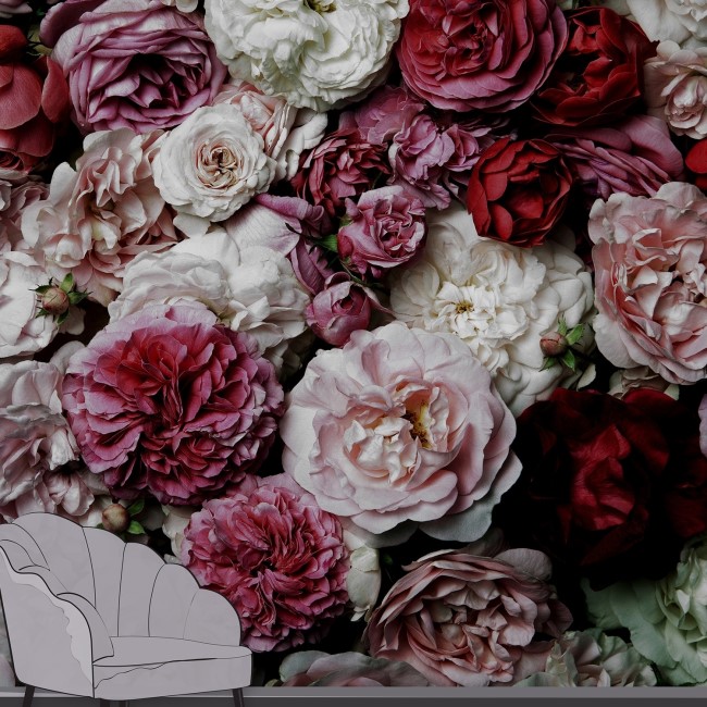 Roses Mural Wallpaper - Venetia