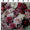Roses Mural Wallpaper - Venetia
