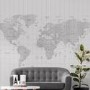 Grey World Map Mural Wallpaper - Venetia