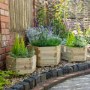 Forest York Hexagonal Planter - Set of 3