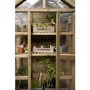 Forest Georgian Tall Wall Greenhouse with Auto Vent 6 x 3ft