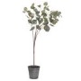 3ft Artificial Eucalyptus Tree in Metal Pot - Hill Interiors