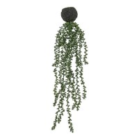 Artificial String of Pearls Hanging Plant - 71cm - Caspian House