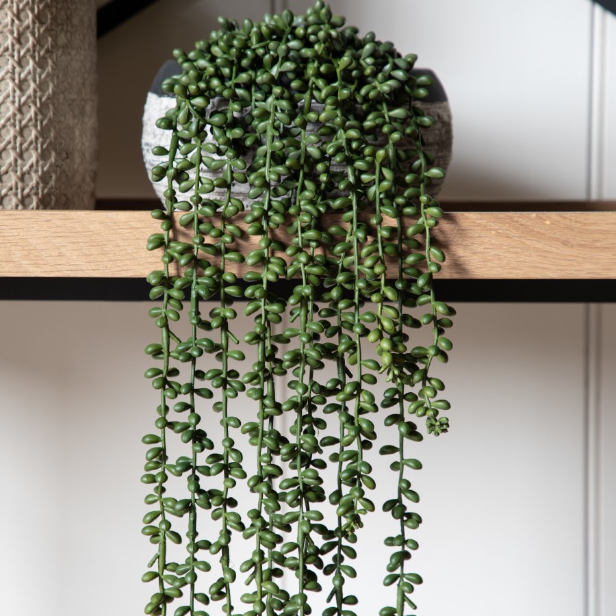 Artificial String of Pearls Hanging Plant - 71cm - Caspian House