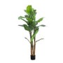 Artificial Green Palm Plant - 6ft - Caspian House