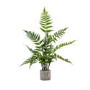 Artificial Fern Plant with Cement Pot - 2ft - Caspian House