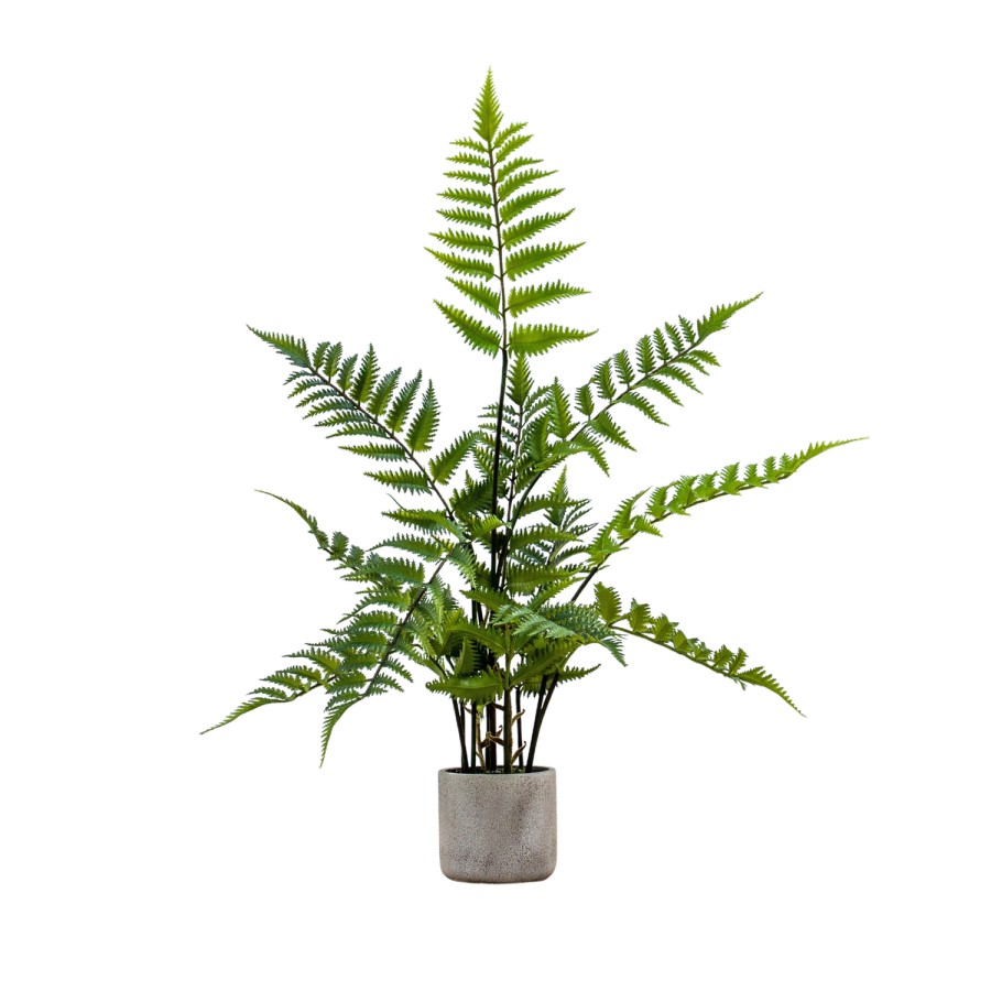 Artificial Fern Plant with Cement Pot - 2ft - Caspian House