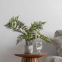 Artificial Fern Plant with Cement Pot - 2ft - Caspian House