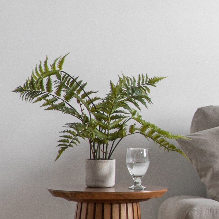 Artificial Fern Plant with Cement Pot - 2ft - Caspian House