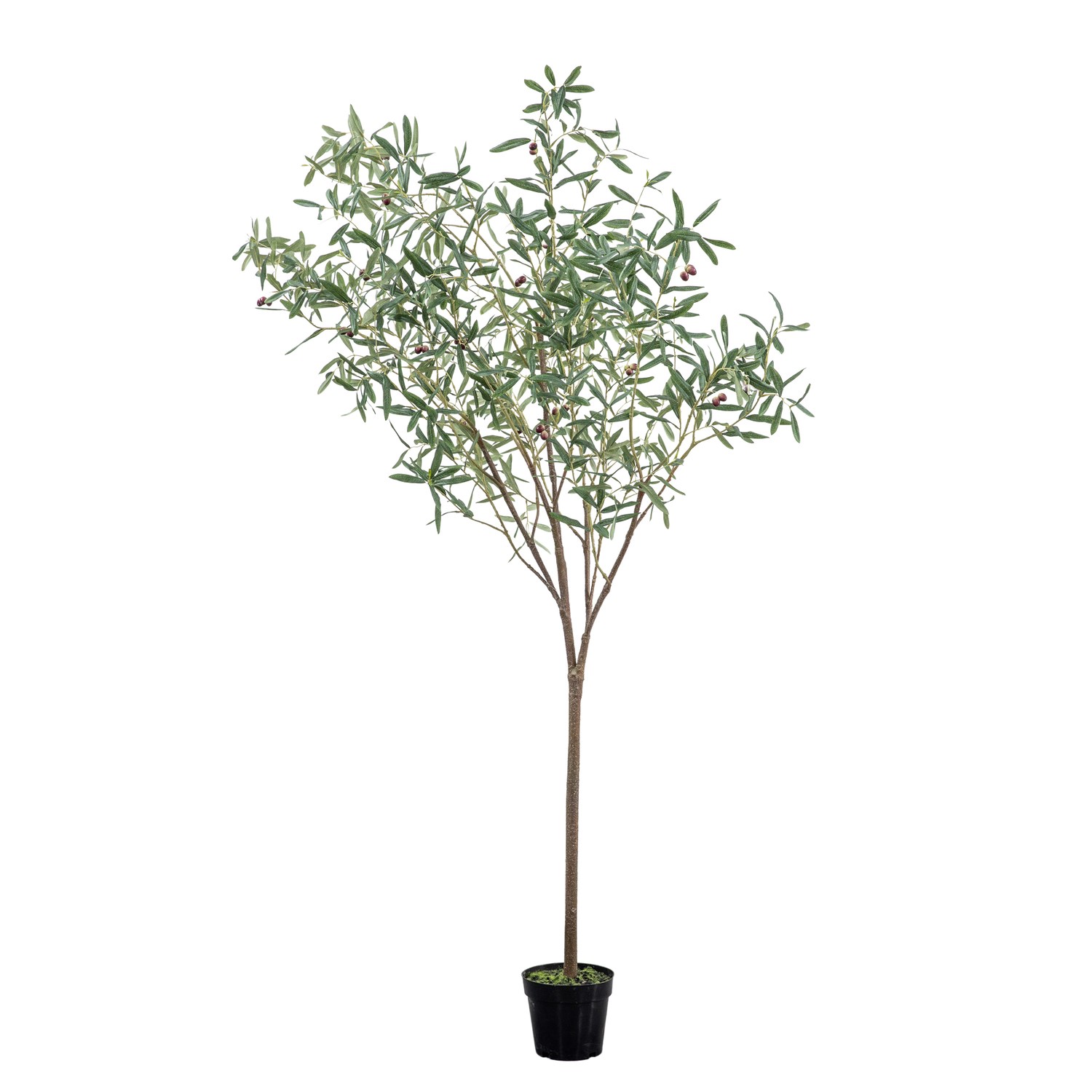 Large Artificial Olive Tree - 6ft - Caspian House - Furniture123