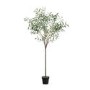 Small Artificial Green Tree - 5ft - Caspian House