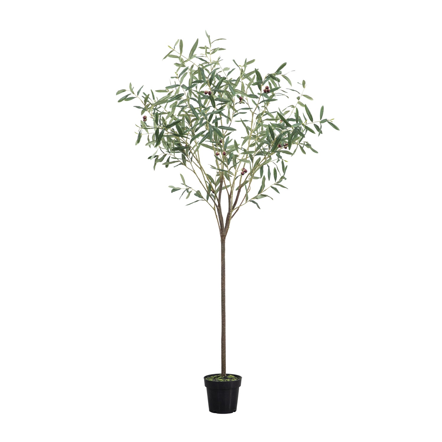 Small Artificial Green Tree - 5ft - Caspian House - Furniture123