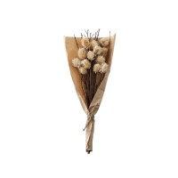 Natural Dried Thistle - 1ft - Caspian House 