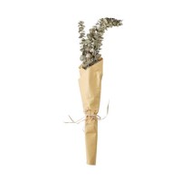 Dried Eucalyptus Plant Bundle - 2ft - Caspian House
