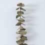 Dried Eucalyptus Plant Bundle - 2ft - Caspian House