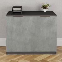 Denver 2 Door Cupboard - Smoked Oak with Stone Front