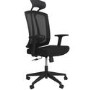 Black Mesh High Back Ergonomic Office Chair - Denver