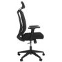 Black Mesh High Back Ergonomic Office Chair - Denver