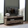 Large Solid Mango Wood TV Stand with Storage - TV's up to 55" - Copgrove
