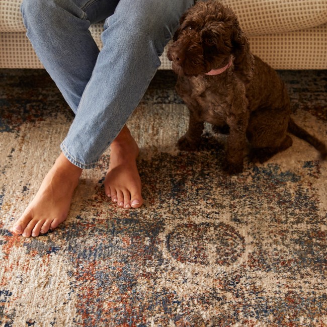 Distressed Multicoloured Rug - 150 x 80 cm - Cairo - Ripley