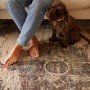 Distressed Multicoloured Rug - 170 x 120 cm - Cairo - Ripley
