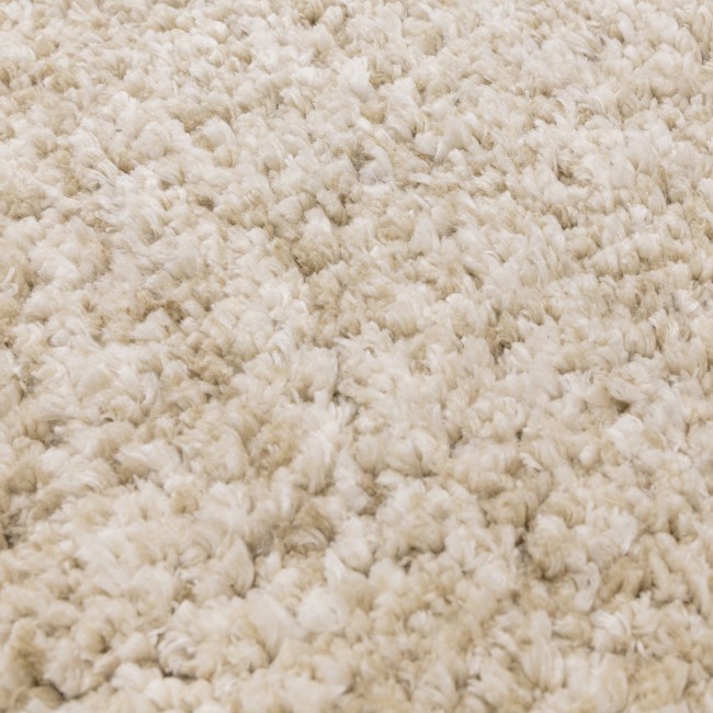 Shaggy Beige Rug - 230 x 160 cm - Barnably