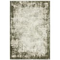FOL105967 Distressed Green Rug - 230 x 160 cm - Border - Kuza