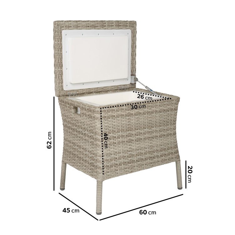 Grey 31 Litre Rattan Single Cooler Box - Aspen