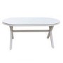 6 Seater Beige Aluminium & Rattan Oval Garden Dining Set
