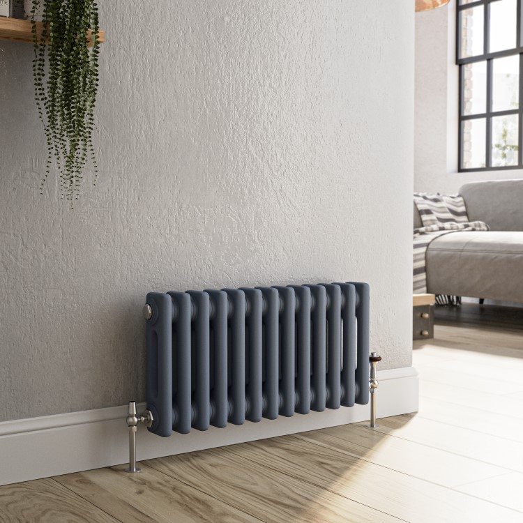 Reggio Anthracite Horizontal Double Column Traditional Radiator 300x605mm 1062 BTU - Cast Iron Style