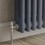 Reggio Anthracite Horizontal Double Column Traditional Radiator 300x830mm 1470 BTU - Cast Iron Style