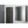 Moderno Wall Hung Two Door Bathroom Mirror Cabinet