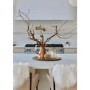 Beige Velvet Curved Kitchen Stool with Back - Isla