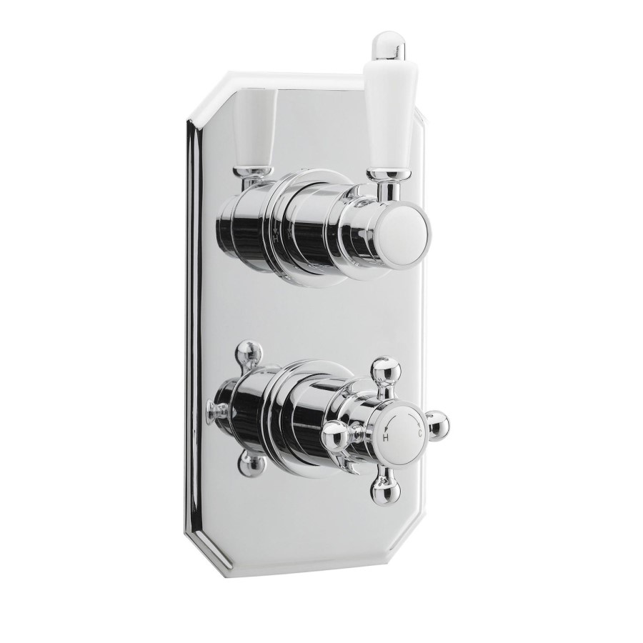 Taylor & Moore Twin Thermostatic Shower Valve